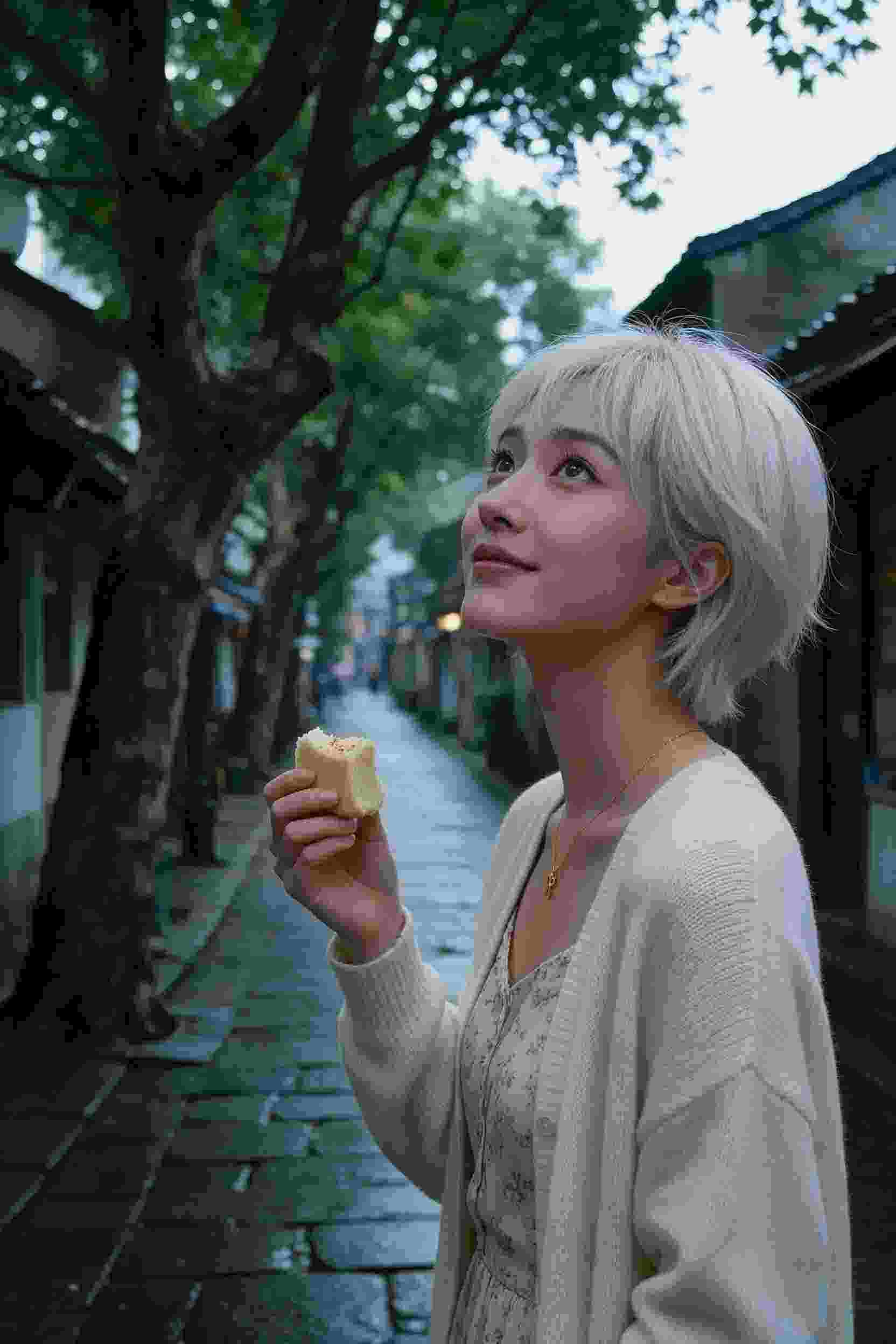 奇遇之旅
